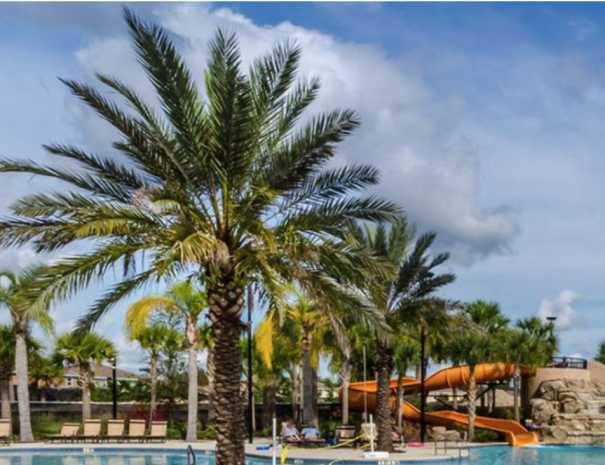 Screen Shot 2018-06-29 at 8.59.45 AM